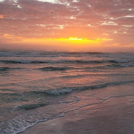 Siesta Key Condo - On The Water ! Екстер'єр фото