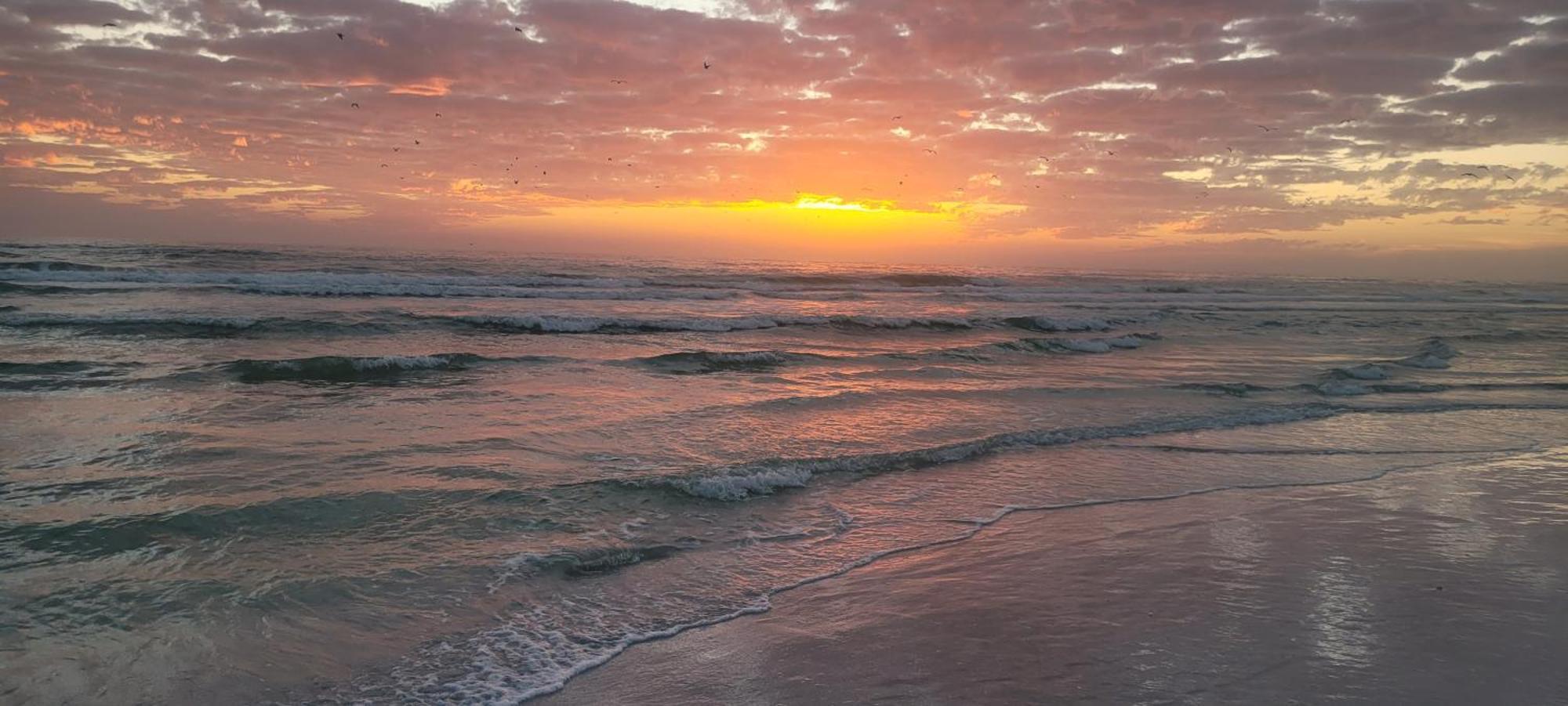 Siesta Key Condo - On The Water ! Екстер'єр фото